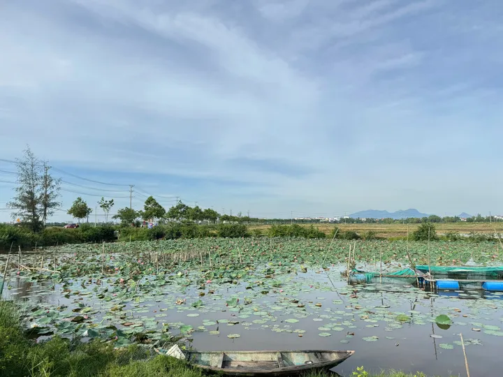 Bán Lô Đất Mặt Tiền View Sông Và View Làng Rau Trà Quế Cực Hiếm Tại Hội An - Diện Tích 100m Cực Đẹp (MS558b)